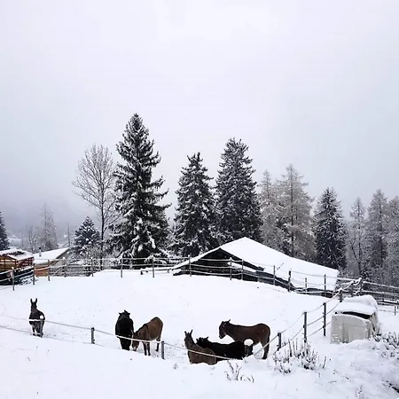 Verrel Near Aletsch Gondolas