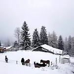 Verrel Near Aletsch Gondolas